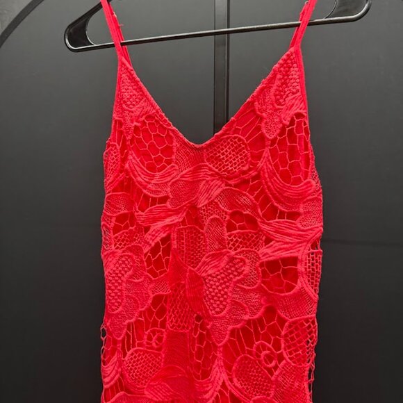 Express Red Floral Lace Dress - Picture 2 of 5